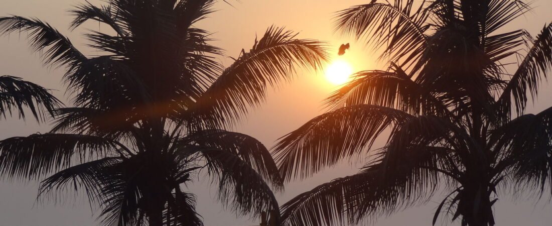 Carter Road, Bandra: The Real Places Behind The Café Across Carter Road